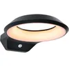 Image de Paulmann 94837 Applique d'extérieur LED Anela IP44 adapté aux insectes détecteur de mouvement 12W 700lm 245x309mm Anthracite aluminium 2200K