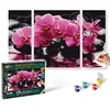 Image de Schipper - 609260603 - Orchids - Triptychon - Tableau à Dessin - Taille 40 x 50 cm