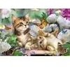 Image de Schmidt Spiele Chatons Espiègles