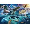 Image de Schmidt Spiele Les Animaux du Grand Nord