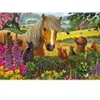 Image de Schmidt Spiele Mignons Visiteurs dans la Prairie