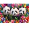 Image de Schmidt Spiele Panda Trio