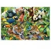 Image de Schmidt Spiele Faune colorée