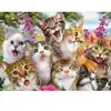 Image de Schmidt Spiele Cats' Selfy