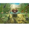 Image de Schmidt Spiele Labrador Chocolat à la Baignade