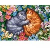 Image de Schmidt Spiele Sommeil aux Pattes de Velours