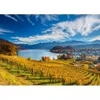 Image de Schmidt Spiele Vineyards