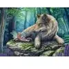 Image de Schmidt Spiele La Fée et son Loup