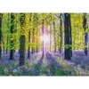 Image de Schmidt Spiele Tapis de Campanules dans les Bois