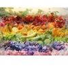 Image de Schmidt Spiele Cocktail de Fruits
