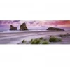 Image de Heye Edition Alexander Von Humboldt - Puzzle Panoramique - Wharariki Beach
