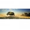 Image de Heye Play of Light