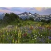 Image de Heye Edition Alexander Von Humboldt - Tatoosh Mountains