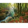 Image de Heye Magic Forests - Little Brook