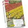 Image de Hornby France - Busch - Circuit - Train - Tulipes - Décor - HO (1/87ème) - 8 ans et plus - 120 tulipes en plastique - 10 x 5 x 12 cm