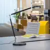 Image de Lampe de table LED MAULgrace, noir, 37 cm, à intensité variable, CCT