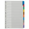 Image de Leitz Intercalaires A4 10 Touches Vierges, Onglets Colorés et Bande Perforée Renforcés en Mylar, Carton Résistant, Gris, 43210000