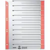 Image de Esselte Leitz 1652-00-25 Intercalaire A4 Rouge Lot de 100 (Import Allemagne)