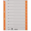 Image de Leitz 16520045 Intercalaire Gris, Orange