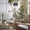 Image de Briloner Lampadaire LED rechargeable Brilo unplugged Riffle, anthracite