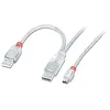 Image de Lindy Câble USB 2.0 Dual Power, Type A x 2 (20cm) / Mini-B, 2m