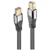 Image de Lindy 36307 Câble DisplayPort 2 M