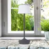 Image de Näve Lampe table solaire LED Emmi CCT recharge, grise