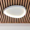 Image de Näve Plafonnier LED Argesa Ø 60,5 cm, blanc, CCT, télécommande
