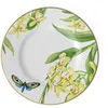 Image de Villeroy & Boch 10-4381-2650 Amazonia Anmut Assiette à Dessert Porcelaine Vert 22,5 x 22,6 x 7,6 cm
