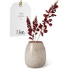 Image de like. by Villeroy & Boch Lave Home - Vase en Forme d’oeuf, Beige, en grès