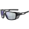 Image de ALPINA Lunettes de montagne Skywalsh pour hommes noir