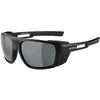 Image de ALPINA Lunettes de montagne pour hommes Skywalsh noir