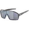 Image de ALPINA Lunettes de cyclisme Bonfire pour hommes gris