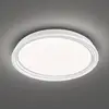 Image de FISCHER & HONSEL Plafonnier LED Dua, dimmable, Ø 43 cm
