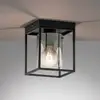 Image de FISCHER & HONSEL Plafonnier Samu en noir sable
