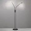 Image de FISCHER & HONSEL Lampadaire LED Dent, dimmable, CCT, 2 x 6W noir