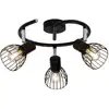 Image de Plafonnier spirale BLACKY 3