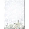 Image de SIGEL DP013 Papier à lettre de Noël, étoiles argentées, 21 x 29,7 cm, 90g/m², blanc, 25 feuilles