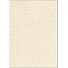 Image de SIGEL DP605 Papier à lettres, 21 x 29,7 cm, 90g/m², texturé crépis, beige, 100 feuilles