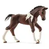 Image de Schleich Poulain Trakehnen