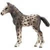 Image de Schleich - 13760 - Figurine - Poulain Knabstrupper
