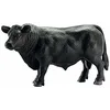 Image de Schleich - 13766 - Figurine Animal - Taureau Angus