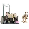 Image de Schleich- 42104, Waschplatz Horse Club playset, Accessoire pour Figurine, Lavage pour Chevaux Multicolore Place de Lavage