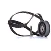 Image de INA Kit de distribution 530 0149 10 24mm Compatible avec VW Golf 3 3/5 portes 1H1 Transporter T4 Minibus 70B, 70C, 7DB, 7DK, 70J, 70K, 7DC, 7DJ Transporter T4 Van 70A, 70H, 7DA, 7DH, SEAT