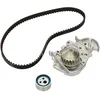 Image de INA 530 0018 30 Kit de distribution + pompe à eau Nombre de dents: 20 22 mm