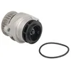 Image de INA 538 0050 10 Pompe à eau avec joint d'étanchéite Compatible avec VW Golf IV 3/5 portes 1J1 Golf IV Variant 1J5 Lupo/Lupo 3L 6X1, 6E1 Bora Berline 1J2 Polo III 3/5 portes 6N2 Bora Variant 1J6