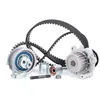Image de INA 530 0445 31 Kit de distribution + pompe à eau Nombre de dents: 23 29 mm Compatible avec VW Golf 5 3/5 portes 1K1 Golf 6 3/5 portes 5K1 Polo V 3/5 portes 6R1, 6C1, AUDI A3 Sportback 8PA