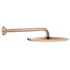 Image de GROHE Rainshower   Cosmopolitan 310 ensemble Douche murale 9,5 support en paredwarm Sunset