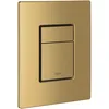 Image de GROHE Skate Cosmopolitan   Wall Plate Brushed Cool Sunrise