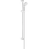 Image de GROHE 27925001 Tempesta 100 Ensemble de Douche 1 Jet , Argent